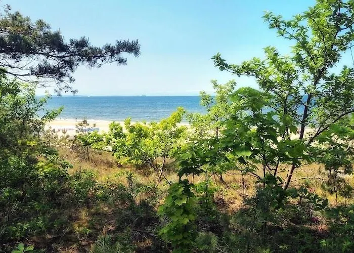 In Mrze Yno Near Sandy Beaches