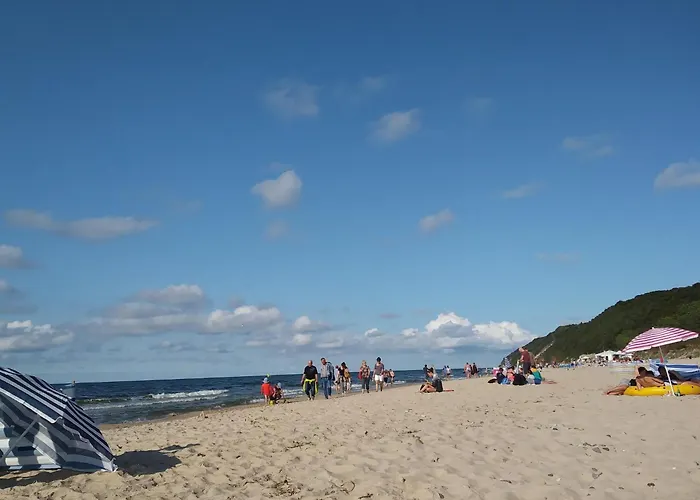 In Mrze Yno Near Sandy Beaches